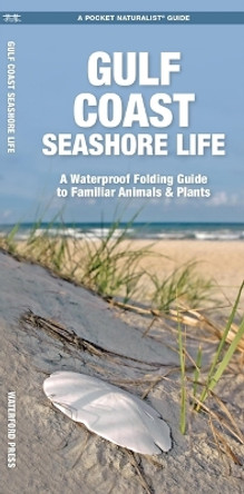 Gulf Coast Seashore Life: A Waterproof Folding Guide to Familiar Animals & Plants by Waterford Press 9781620055823