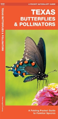 Texas Butterflies & Pollinators: A Folding Pocket Guide to Familiar Species James Kavanagh 9781620053768