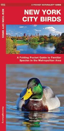 New York City Birds: A Folding Pocket Guide to Familiar Species in the Metropolitan Area by James Kavanagh 9781583550120