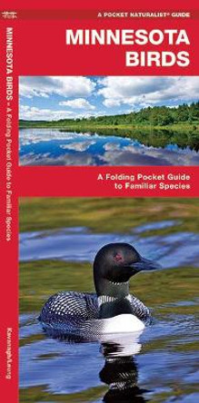 Minnesota Birds: A Folding Pocket Guide to Familiar Species by James Kavanagh 9781583551035