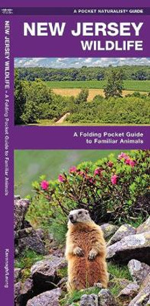 New Jersey Wildlife: A Folding Pocket Guide to Familiar Species by James Kavanagh 9781583554814