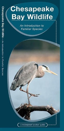 Chesapeake Bay Wildlife: A Folding Pocket Guide to Familiar Species by James Kavanagh 9781583556764