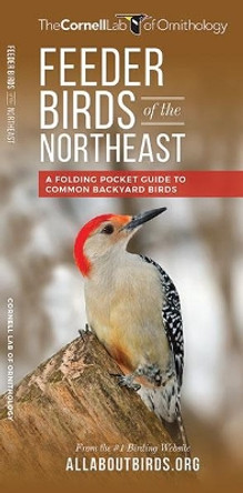 Feeder Birds of the Northeast: A Folding Pocket Guide to Common Backyard Birds by The Cornell Lab of Ornithology 9781620052228