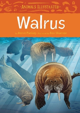 Animals Illustrated: Walrus by Herve Paniaq 9781772271423