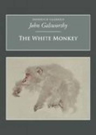 The White Monkey: Nonsuch Classics by John Galsworthy 9781845880583