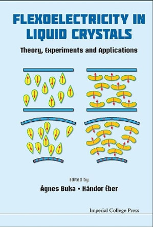 Flexoelectricity In Liquid Crystals: Theory, Experiments And Applications by Agnes Buka 9781848167995