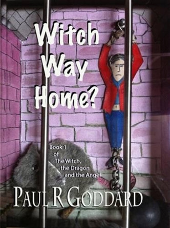 Witch Way Home: Book 1 by Paul R. Goddard 9781854570543