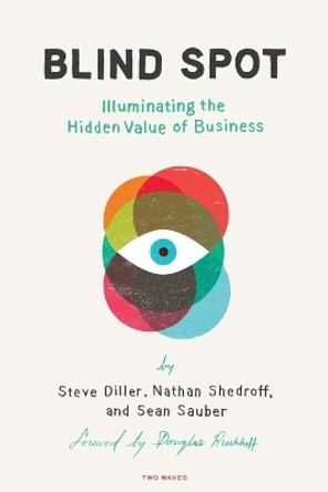 Blind Spot: Illuminating the Hidden Value in Business by Steve Diller 9781933820699