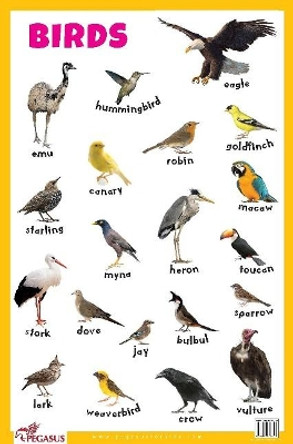 Birds Educational Chart by Pegasus 9788131938836