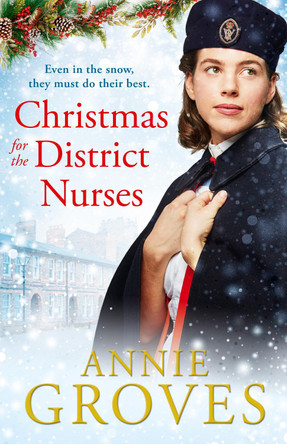 Christmas for the District Nurses (The District Nurse, Book 3) by Annie Groves