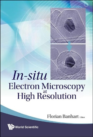 In-situ Electron Microscopy At High Resolution by Florian Banhart 9789812797339