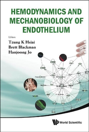 Hemodynamics And Mechanobiology Of Endothelium by Brett Blackman 9789814280419