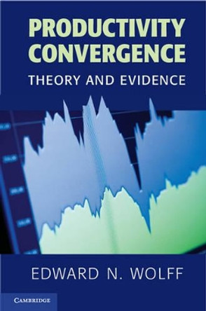 Productivity Convergence: Theory and Evidence by Edward N. Wolff 9780521664417