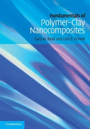 Fundamentals of Polymer-Clay Nanocomposites by Gary W. Beall 9780521876438