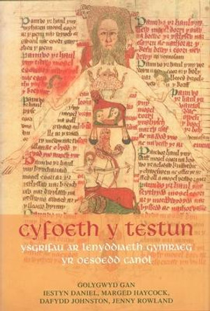 Cyfoeth y Testun: Ysgrifau ar Lenyddiaeth Gymraeg yr Oesoedd Canol by R. Iestyn Daniel 9780708318270