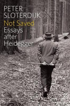 Not Saved: Essays After Heidegger by Peter Sloterdijk 9780745696980