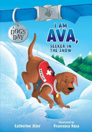 I Am Ava, Seeker in the Snow by Catherine Stier 9780807516645