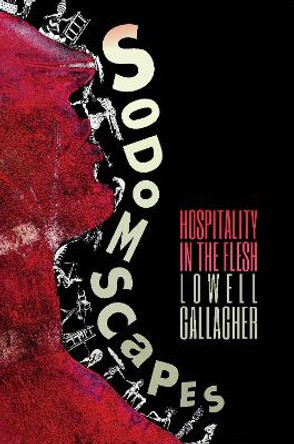 Sodomscapes: Hospitality in the Flesh by Lowell Gallagher 9780823275205