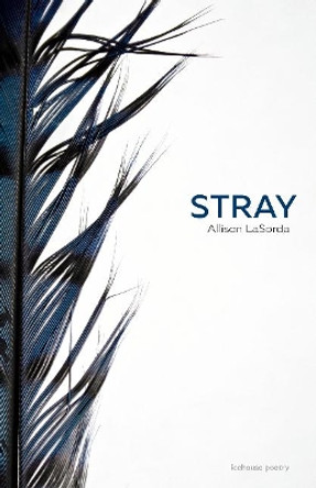 Stray by Allison LaSorda 9780864929785