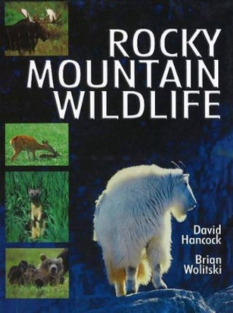 Rocky Mountain Wildlife by David Hancock 9780888395672