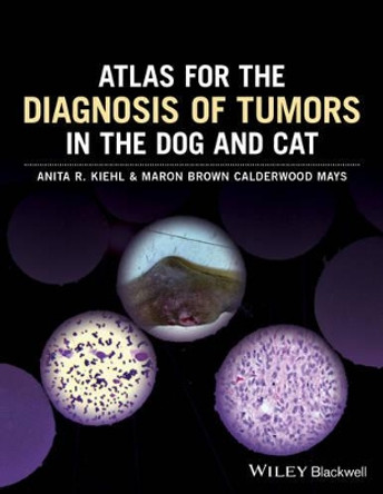 Atlas for the Diagnosis of Tumors in the Dog and Cat by Anita R. Kiehl 9781119051213