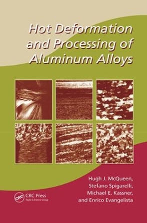 Hot Deformation and Processing of Aluminum Alloys by Hugh J. McQueen 9781138071636