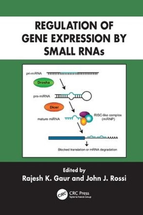 Regulation of Gene Expression by Small RNAs by Rajesh K. Gaur 9781138111738