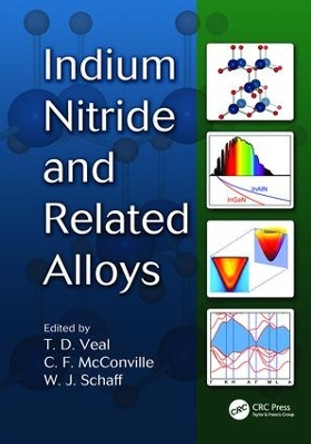 Indium Nitride and Related Alloys by Timothy David Veal 9781138116726