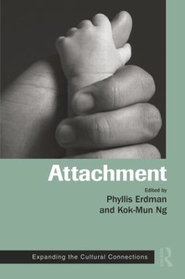 Attachment: Expanding the Cultural Connections Phyllis Erdman 9781138872622