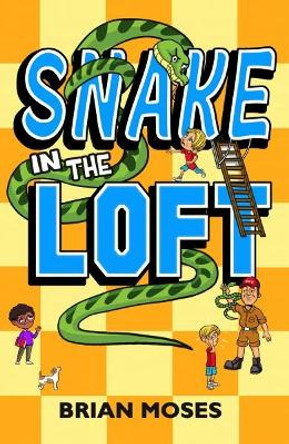 Snake In The Loft by Brian Moses 9781915439758