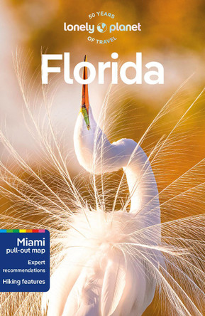 Lonely Planet Florida by Lonely Planet 9781838697785