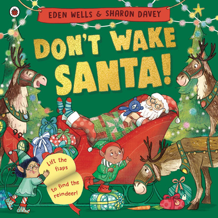 Don't Wake Santa: A lift-the-flap Christmas book by Eden Wells 9780241630501