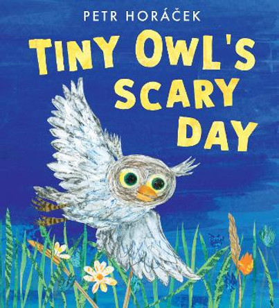 Tiny Owl's Scary Day by Petr Horácek 9781529509274