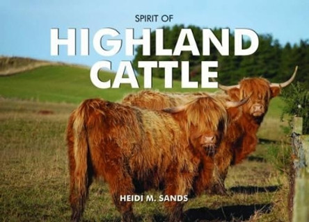 Spirit of Highland Cattle by Heidi M. Sands 9780857100542