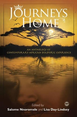 Journeys Home: An Anthology of Contemporary African Diasporic Experience by Salome Nnomorele 9781592217137