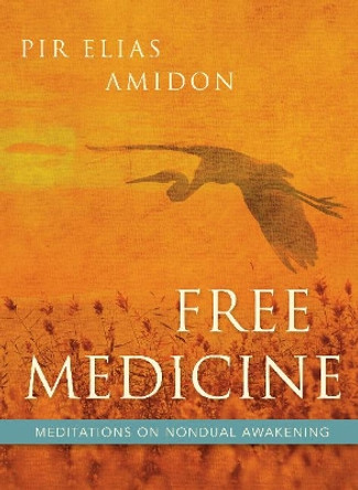 Free Medicine: Meditations on Nondual Awakening by Elias Amidon 9781591812852