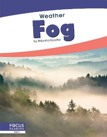 Weather: Fog by ,Brienna Rossiter 9781641858588