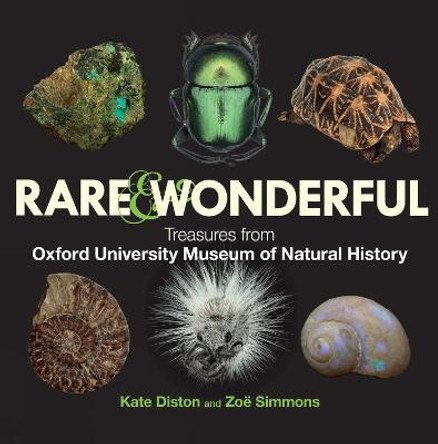 Rare & Wonderful: Treasures from Oxford University Museum of Natural History by Kate Diston