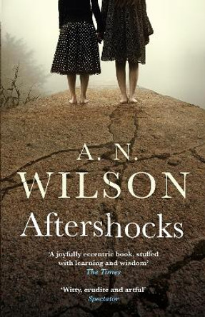 Aftershocks by A. N. Wilson 9781786496058