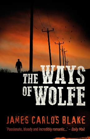 The Ways Of Wolfe by James Carlos Blake 9781843448853