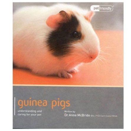 Guinea Pig - Pet Friendly by Anne McBride 9781907337031