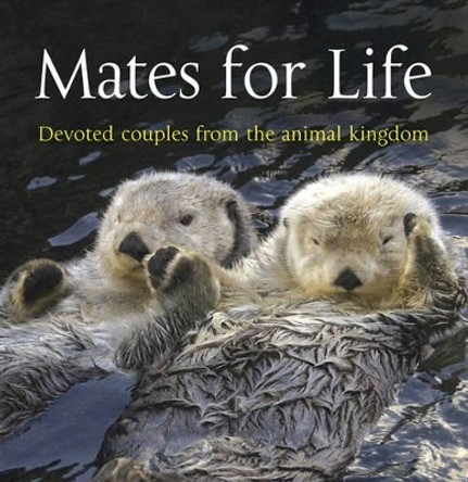 Mates for Life: Devoted Couples from the Animal Kingdom by George Lewis 9781907708022