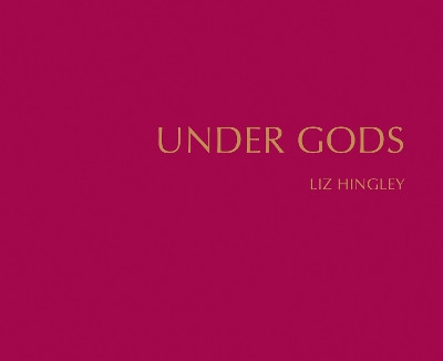 Under Gods Elizabeth Hingley 9781907893070