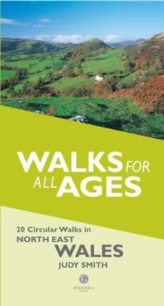 Walks for All Ages in North East Wales: 20 Short Walks for All the Family by Judy Smith 9781902674773