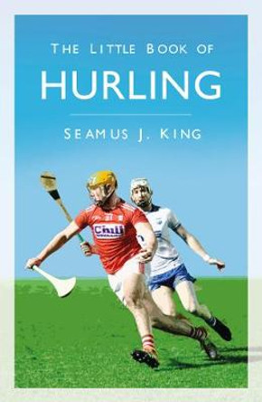 The Little Book of Hurling by Seamus King