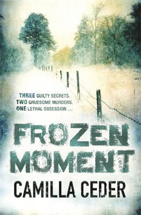 Frozen Moment: 'A good psychological crime novel that will appeal to fans of Wallander and Stieg Larsson' CHOICE by Camilla Ceder