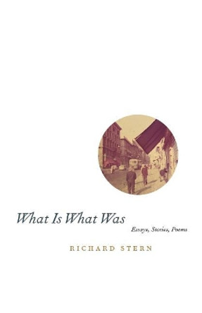 What is What Was by Richard Stern 9780226773261