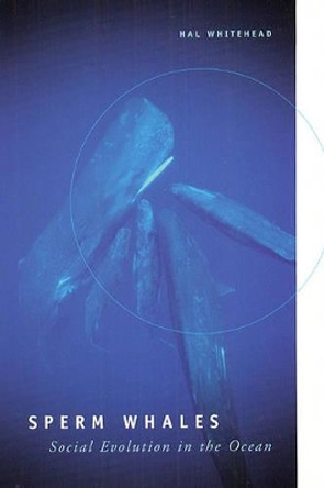 Sperm Whales: Social Evolution in the Ocean by Hal Whitehead 9780226895185