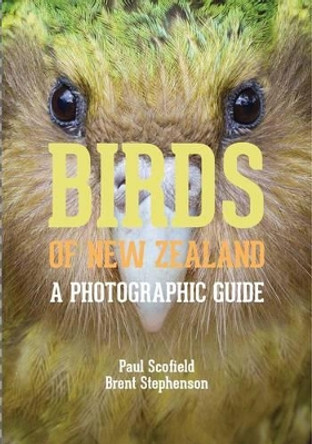 Birds of New Zealand: A Photographic Guide by Paul Scofield 9780300196825