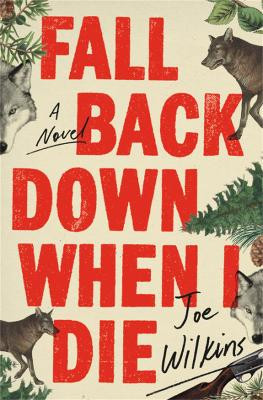 Fall Back Down When I Die by Joe Wilkins 9780316475358